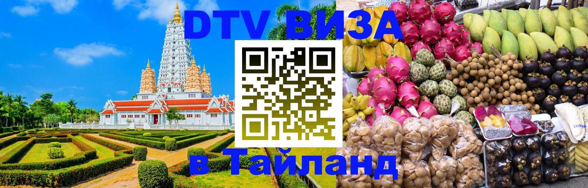 Оформление DTV визы под ключ: стоимость и тарифы, только загранпаспорт - 21.11.2025 